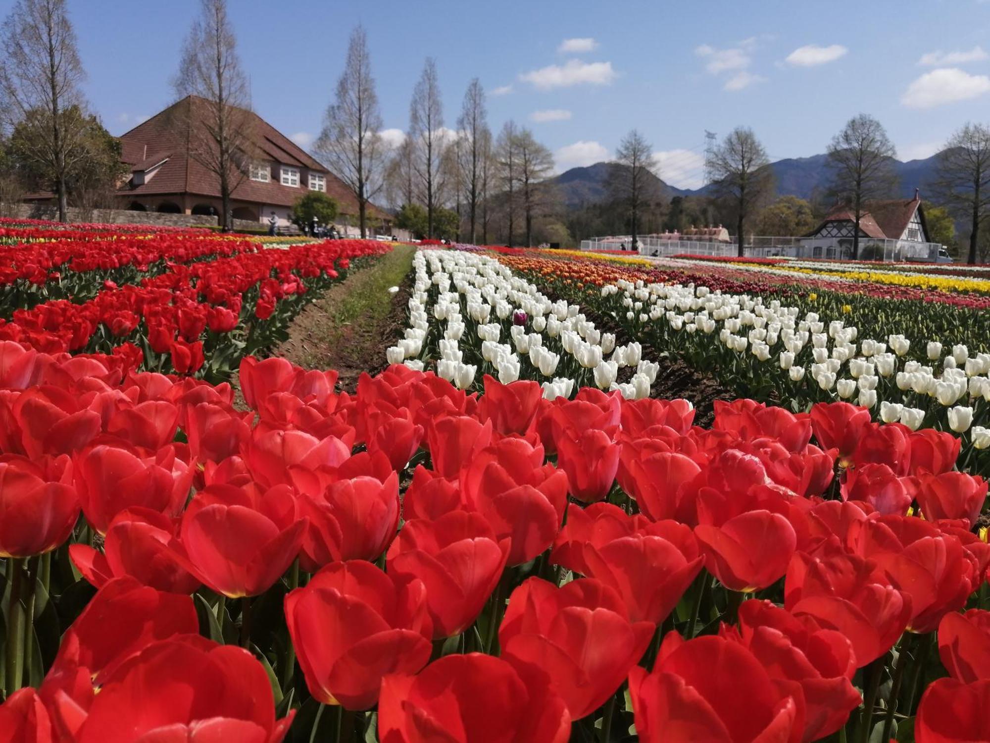Vessel Inn Shigamoriyama Station Dış mekan fotoğraf