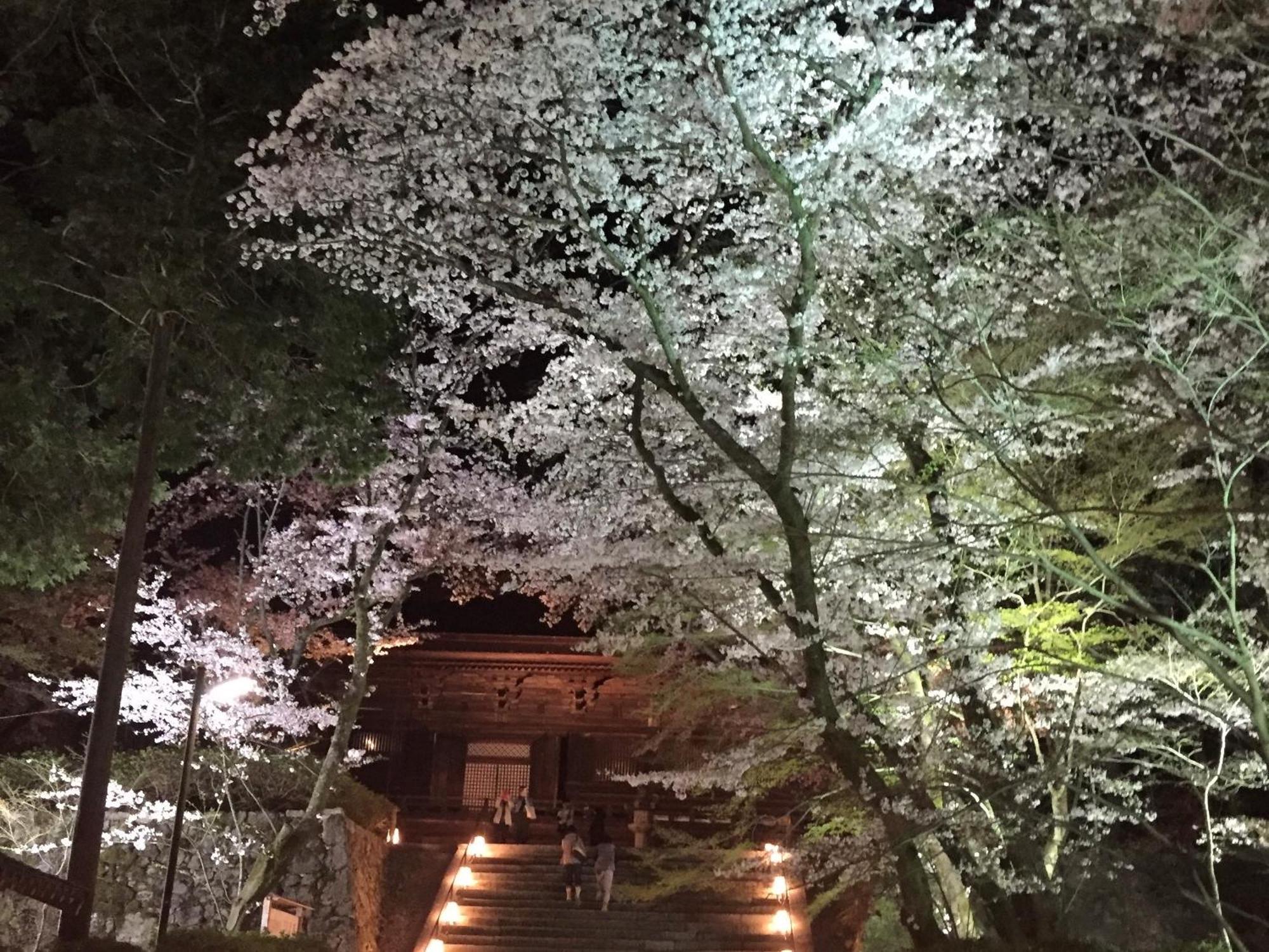 Vessel Inn Shigamoriyama Station Dış mekan fotoğraf