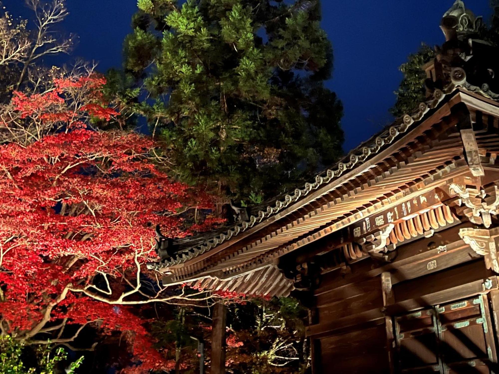 Vessel Inn Shigamoriyama Station Dış mekan fotoğraf