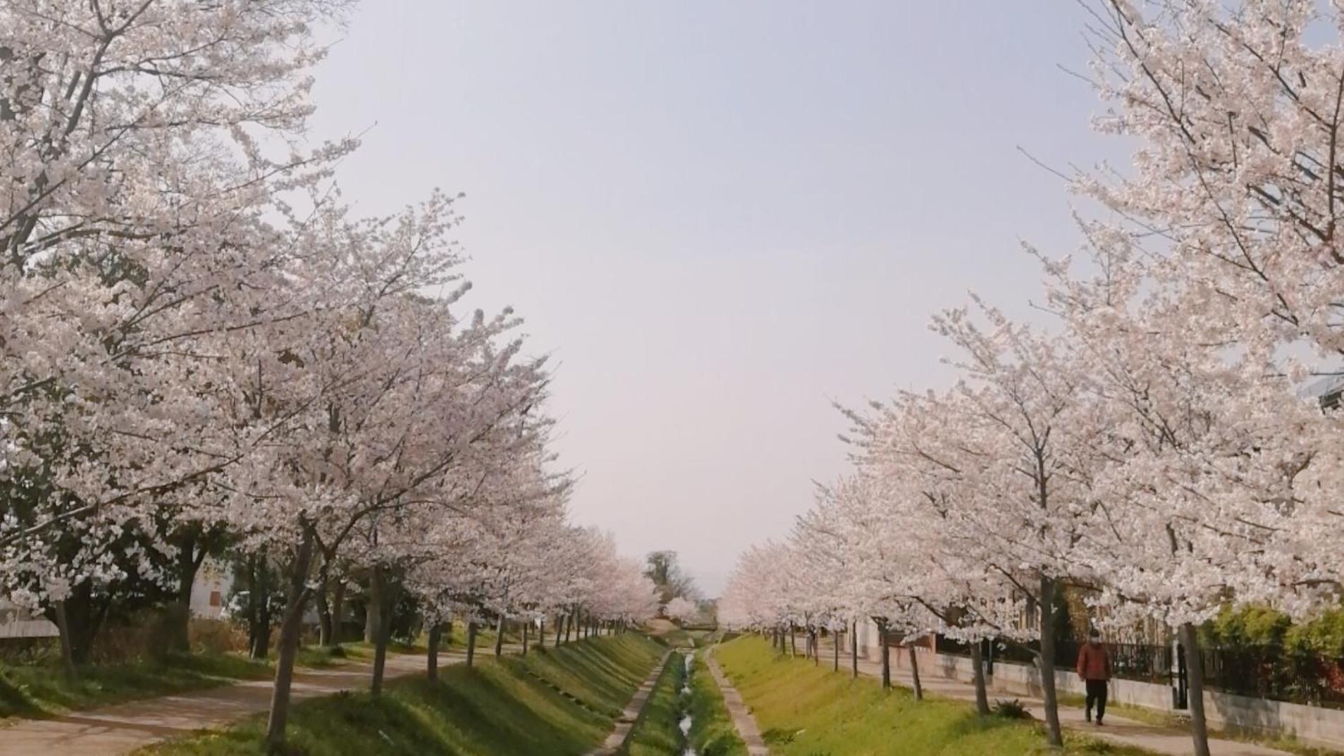 Vessel Inn Shigamoriyama Station Dış mekan fotoğraf